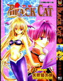 BlackCat黑猫