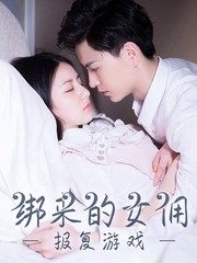 报复游戏：绑来的女佣